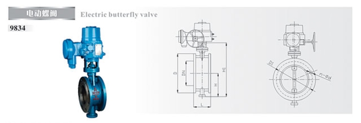 ͷ����ҹ�����¼��ڵ綯����9834�ṹͼ